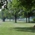 64_windsor_trees2.jpg